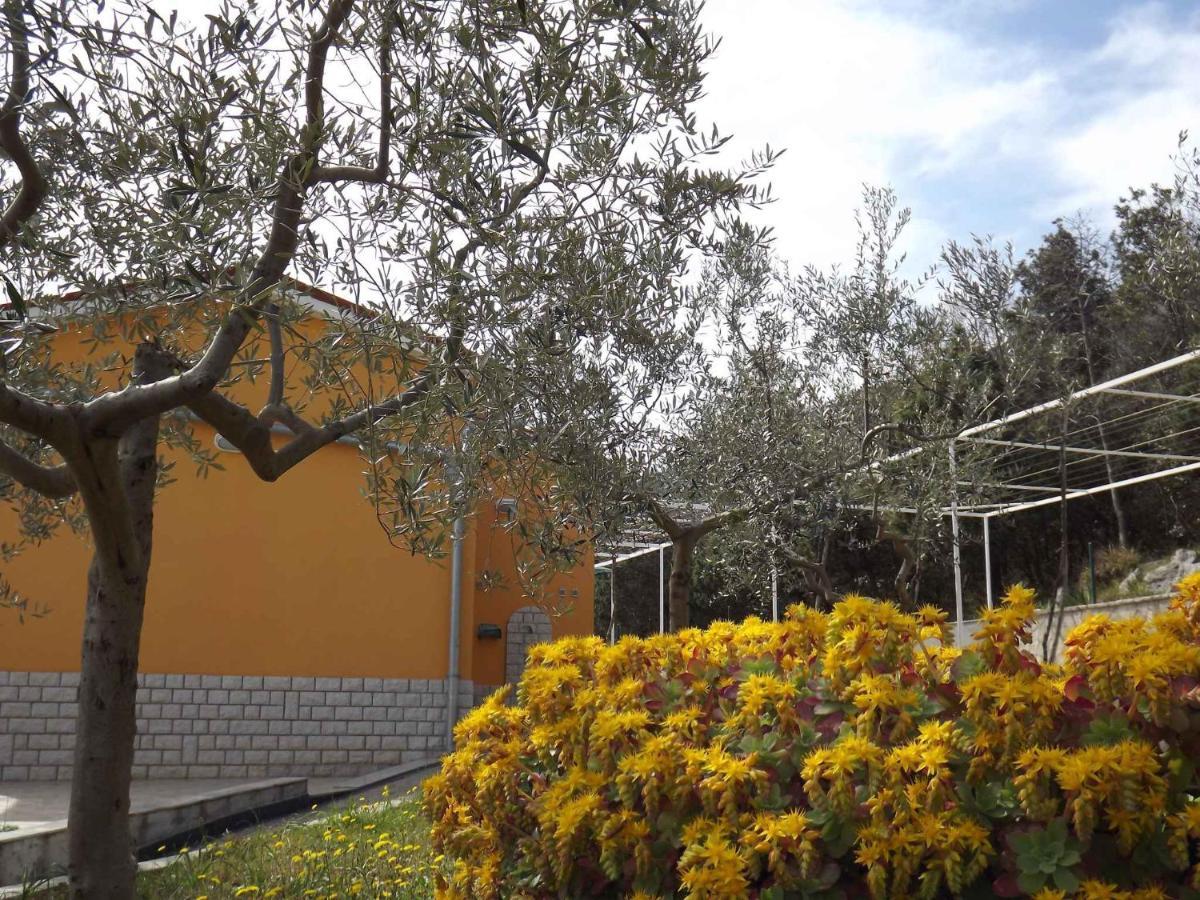Apartments In Ravni/Istrien 30383 Esterno foto